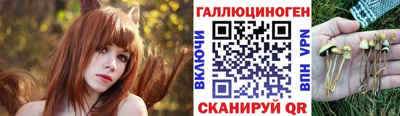 Псилоцибиновые грибы Magic Shrooms  Купить  Новодвинск 